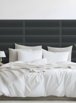 PT-PT-R-M02-2000×1310-4057