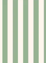 Green-Stripes-big-600×600.jpg