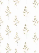 Olive-Branches-mini-600×600.png