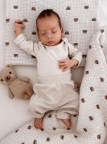 13d2a807-1482-44b7-9580-ad1404d1545f