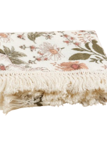 fasfdcs-removebg-preview