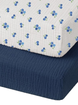 vxv-removebg-preview