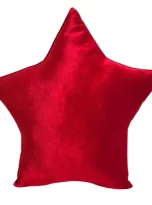 246480098_420742959400249_1979693336083378061_n-removebg-preview-sp-png