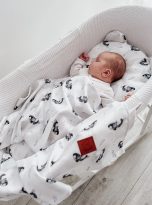 pol_pl_Komplet-letni-poduszka-mis-i-otulacz-BAMBUS-2103_7