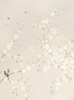 Bird Song eee0d0c4030cdb743c39_thumb_0d7e8210d33e9c75c99b3d1815ef519e